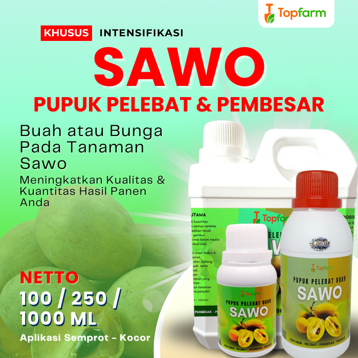 Pupuk Pelebat Buah Sawo / Pupuk Pelebat Buah Buahan / Pupuk Buah Sawo / Pupuk Pembesar Buah Sawo / P