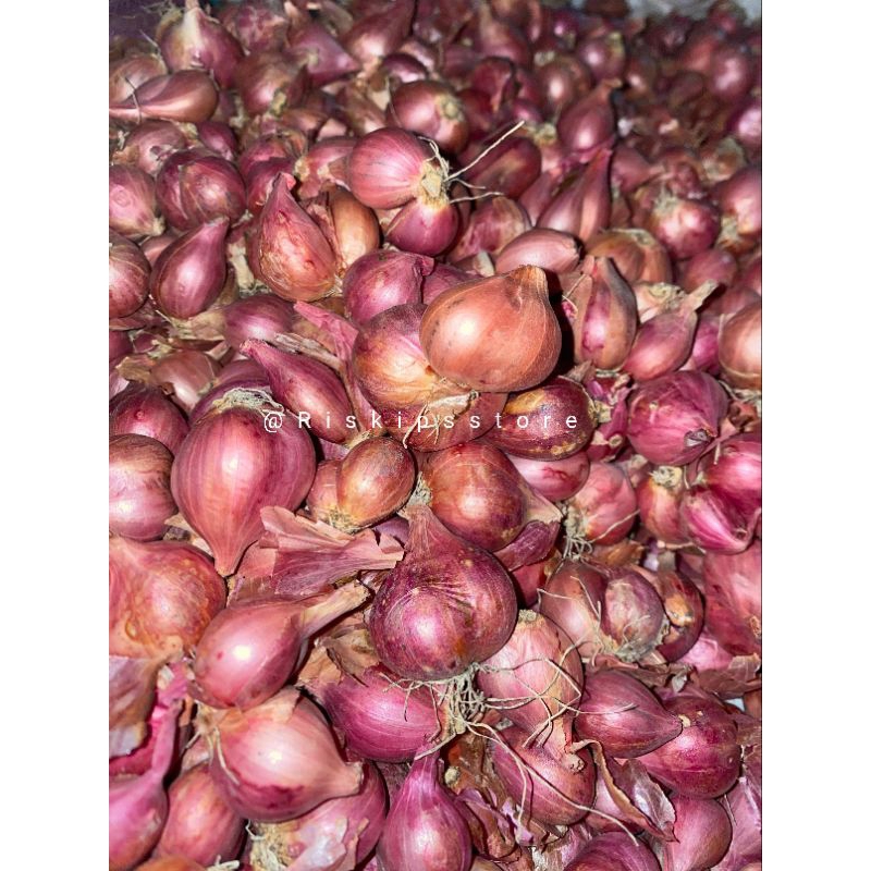 

Bawang merah lokal murah kualitas premium
