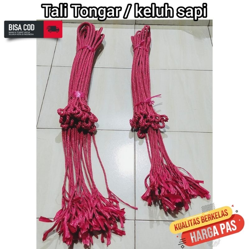 Tali Tongar / Teluh Sapi ECER 1 biji