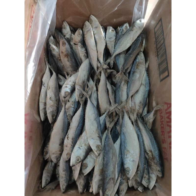 

GROSIR IKAN ASIN PEDA BANYAR KWALITAS SUPER ISI 10KG