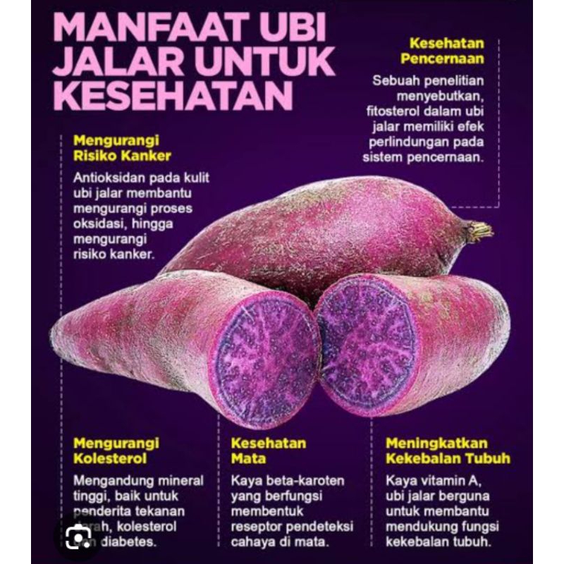 

ubi jalar ungu
