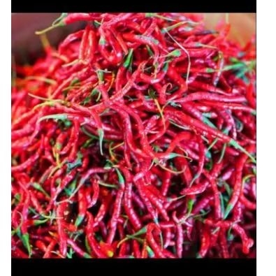 

cabe merah 500gr