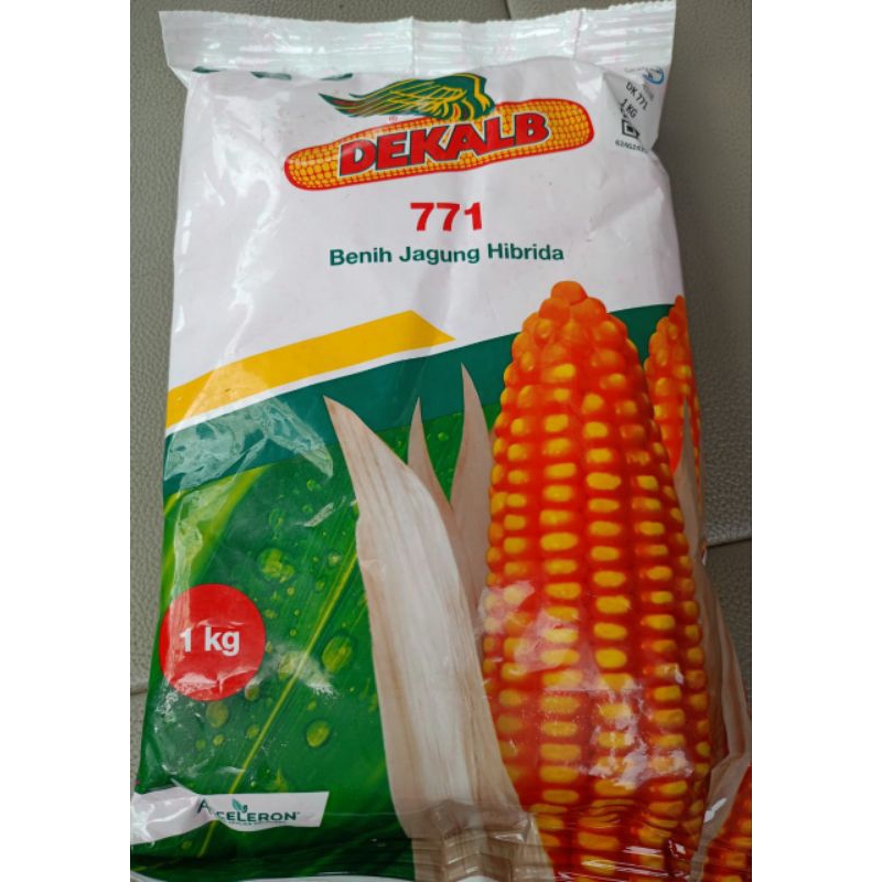 BENIH JAGUNG HIBRIDA DEKALB 771 kemasan 1 kg