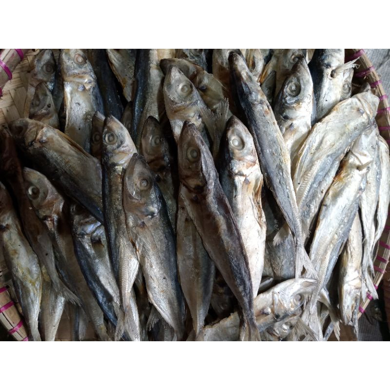 

IKAN ASIN KEMBUNG / IKAN PEDA / pedo benggol/ erna gereh