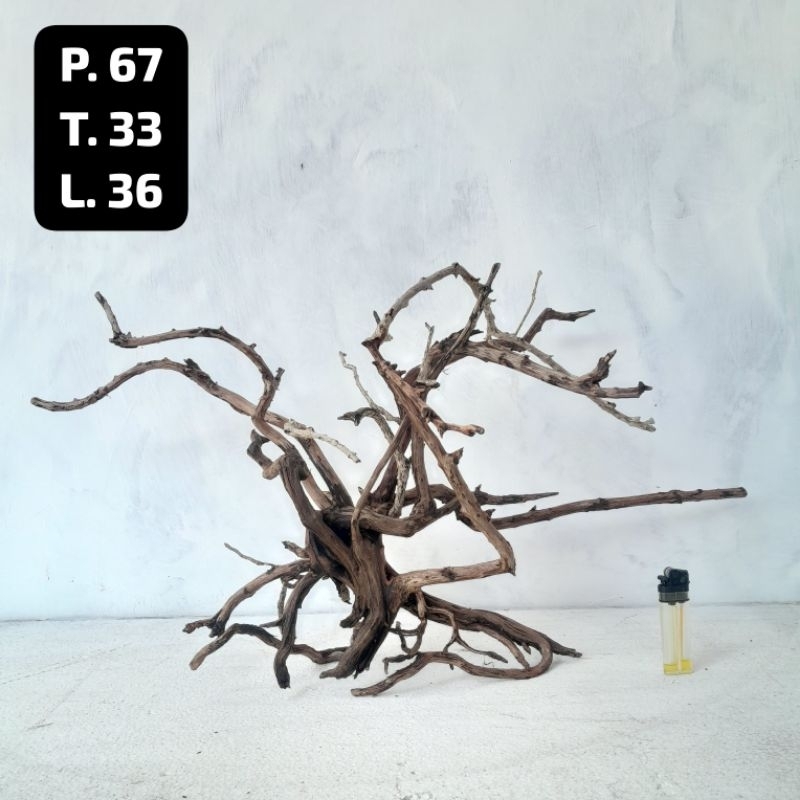 Kayu Aquascape - Kayu Santigi