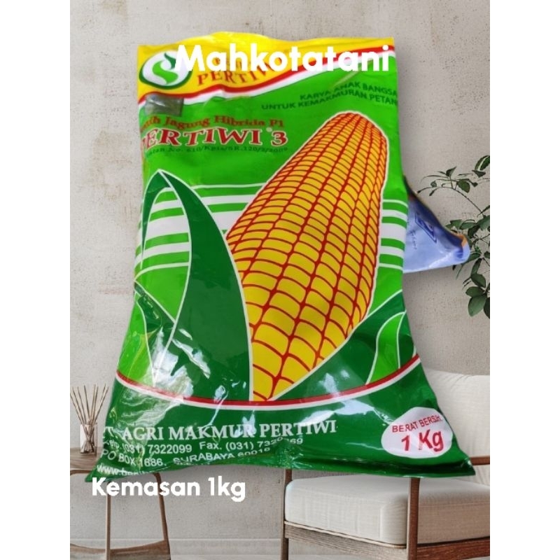 benih jagung hibrida pertiwi 3 5kg & benih jagung pertiwi6 pertiwi3 kemasan 1 kg