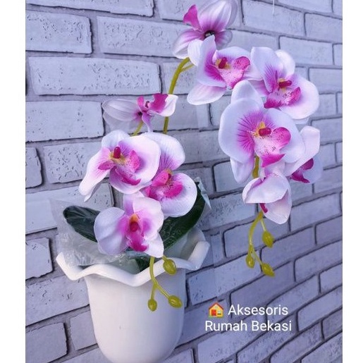 Kejutan Menarik  SET BUNGA PLASTIK ANGGREK 2 CABANG BESAR DENGAN POT DINDING OMBAK