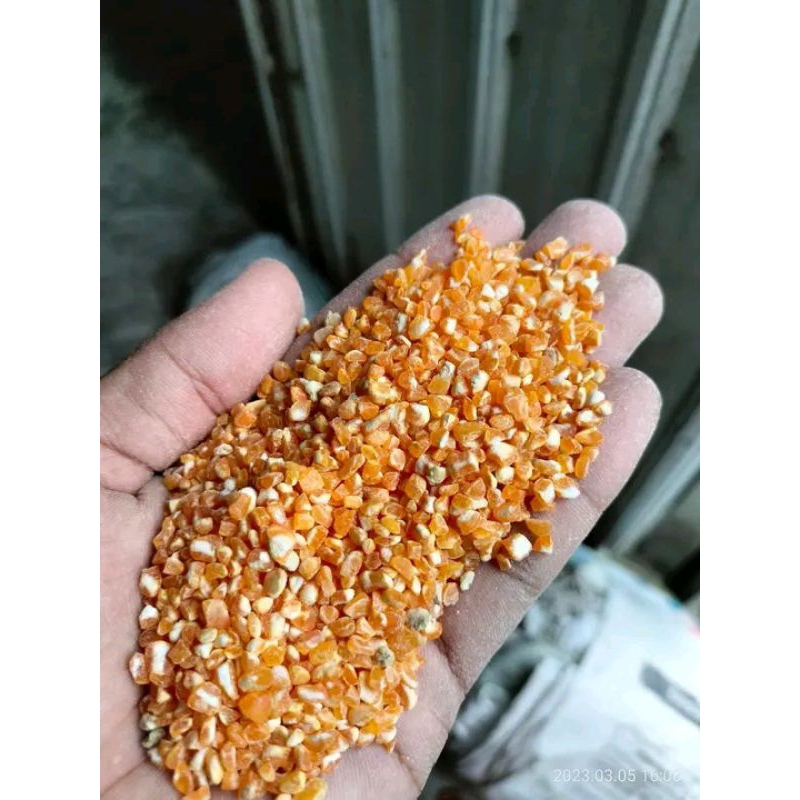 

jagung giling1kg