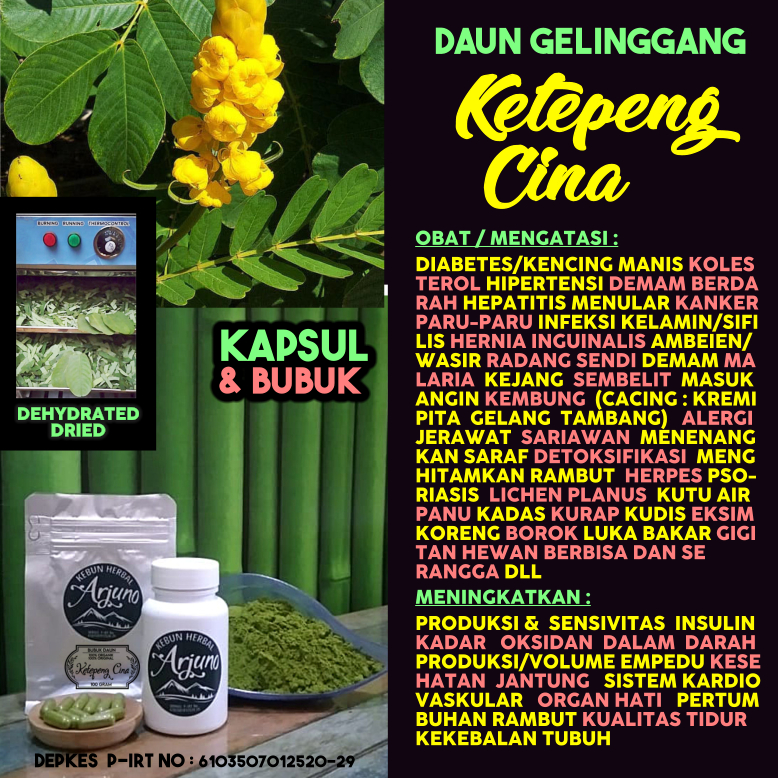 Dehydrated Dried Kapsul Bubuk Daun Ketepeng Cina Ki Manila Obat Demam Berdarah Trombosit Hepatitis H