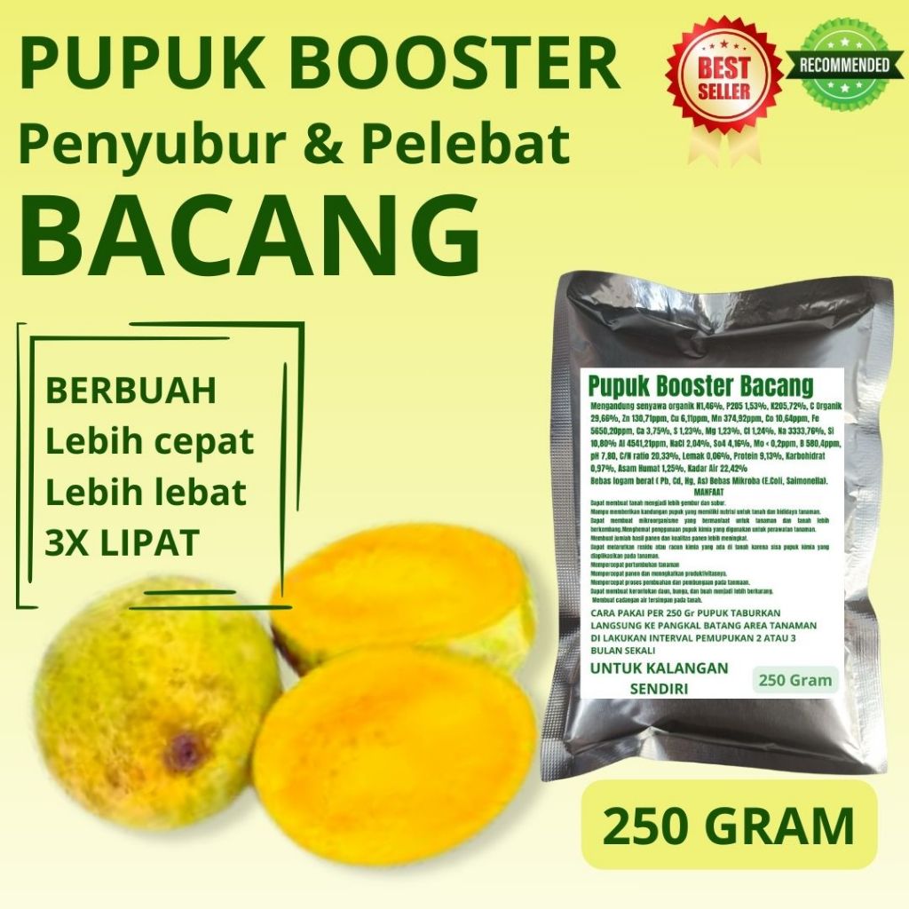 Pupuk Padat Booster Pelebat Buah Bacang Penyubur Perangsang Buah Bacang