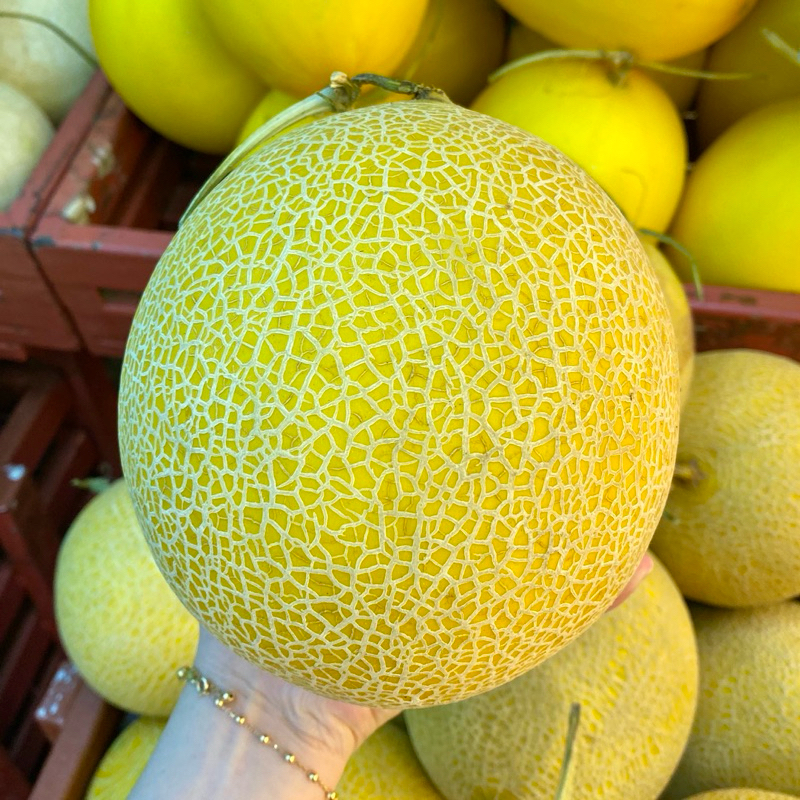 

Premium Melon Inthanon Per Pcs -+ 2,5kg