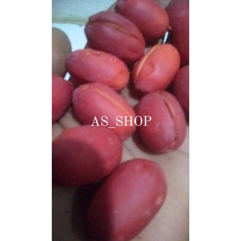 

KULIT MELINJO MENTAH SEGAR / KULIT MELINJO MERAH / KULIT MELINJO FRESH / SAYUR KULIT MELINJO