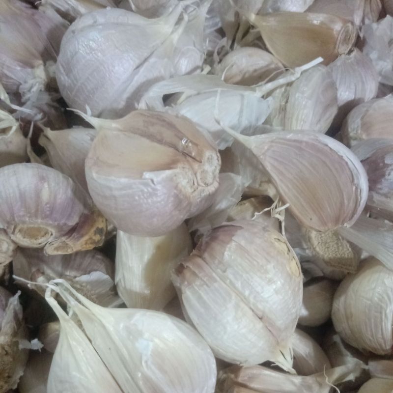 

bawang putih kating per 250 gr