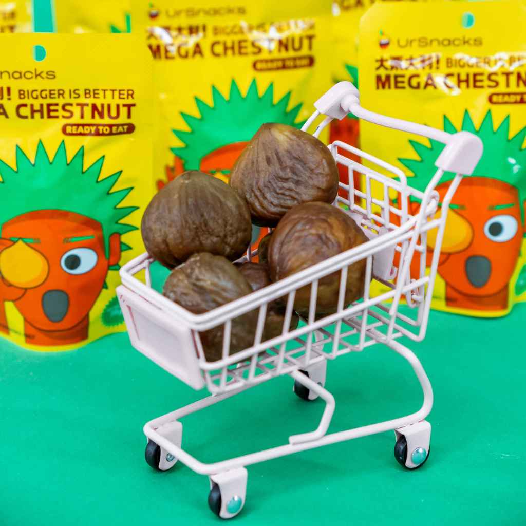 

QH URSNACKS Bundle 5Pcs Mega Chestnut 38gr - Kacang Traveller Bikin Kenyang - Halal BPOM