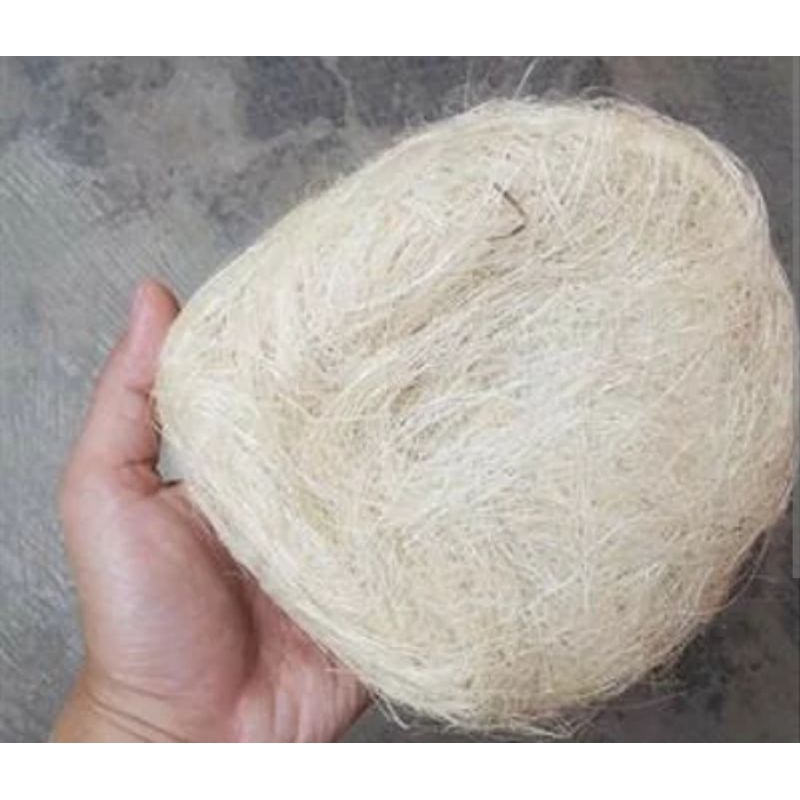 Serat Nanas Sarang Burung Kenari