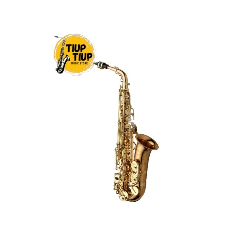 YANAGISAWA ALTO SAXOPHONE (AWO20)