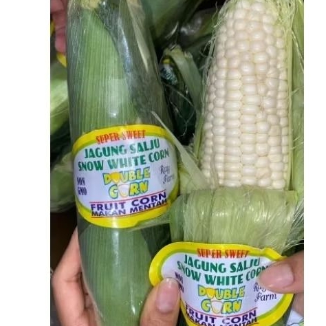 

Jagung Salju Snow White Corn / 1 pcs