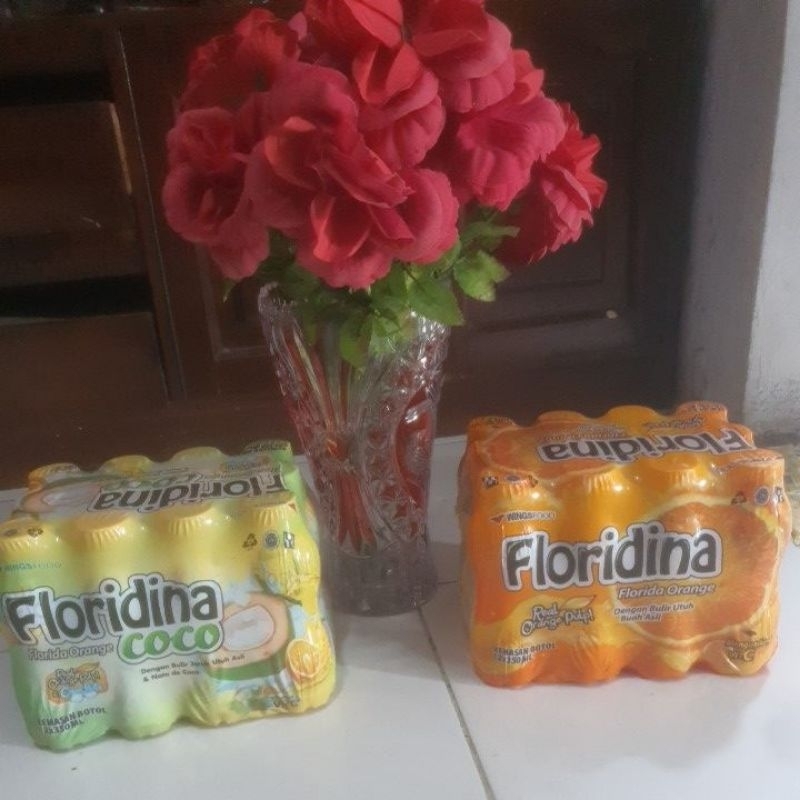 

floridinaorangedancoco