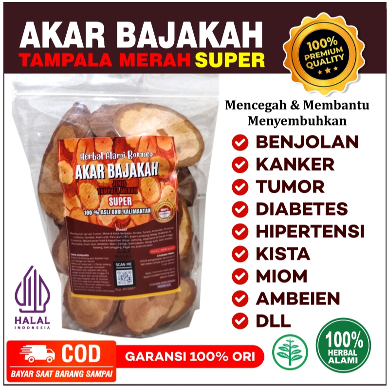 

Akar Bajakah Tampala SUPER Asli Kalimantan dari Seribu Barokah 100% ORIGINAL