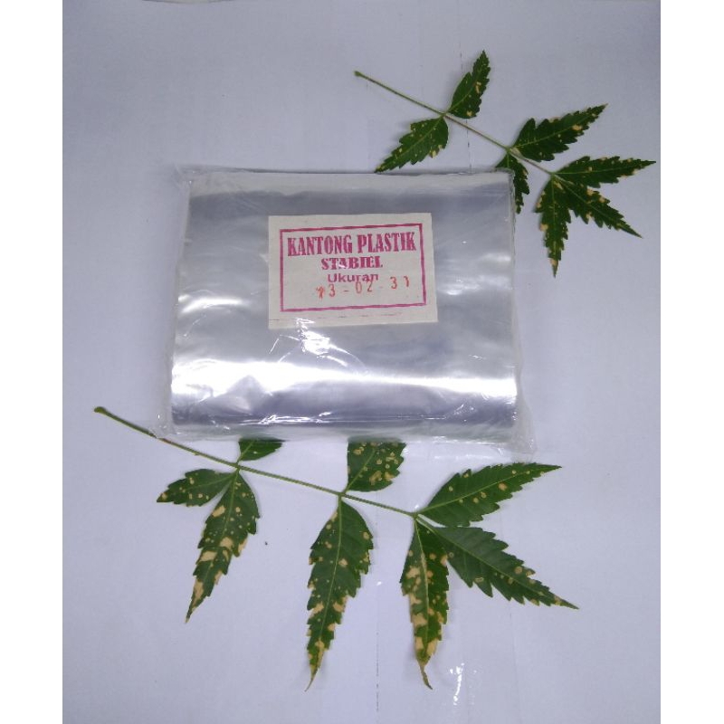 plastik bening tebal 02 berat 250gram ukuran 14X40 14x45 termurah