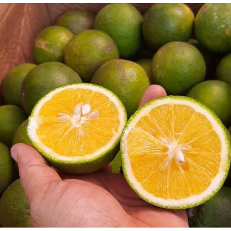 

buah jeruk peras manis 25kg