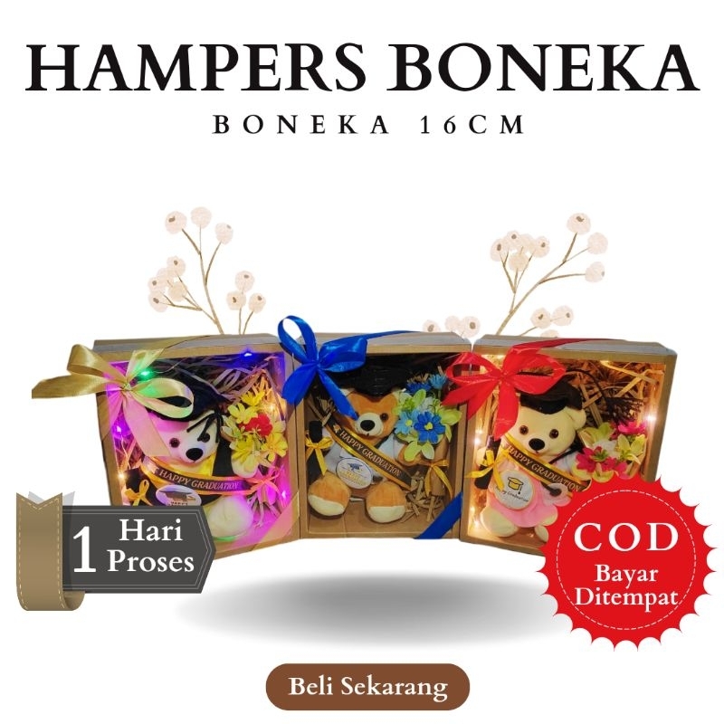 Hampers Boneka Wisuda Bisa Custom Aksesoris | Hampers Buket Bunga | Boneka Beruang | Boneka Dokter