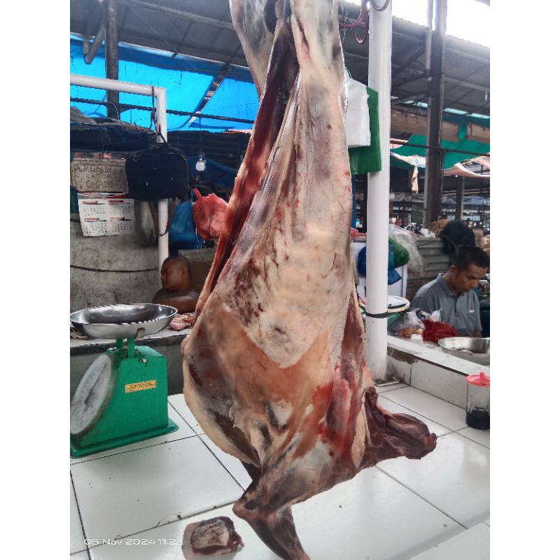 

Daging kambing