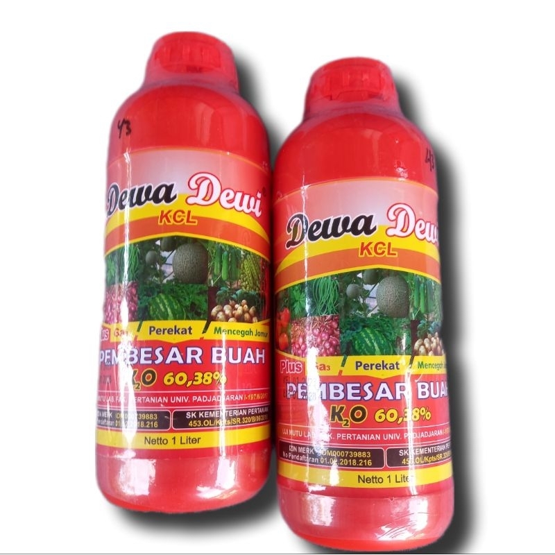 DEWA DEWI KCL CAIR ASLI 1LITER