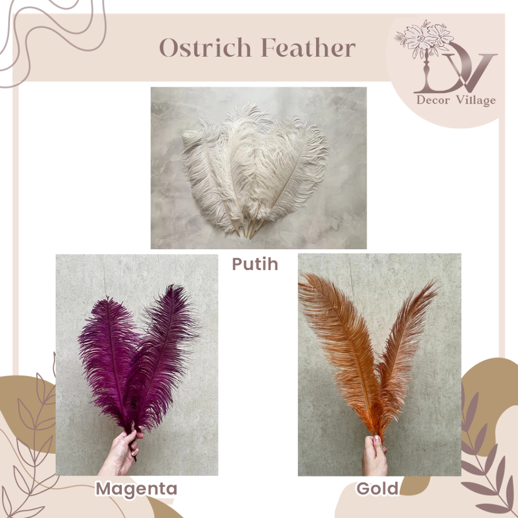 Ostrich feather / Bulu dekorasi / Bulu burung Onta