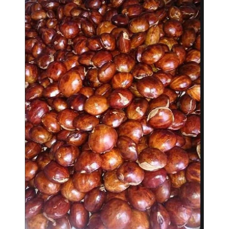 

jengkol sepi tua 500g