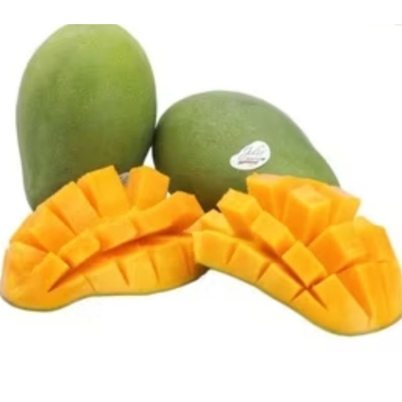 

Mangga Harumanis