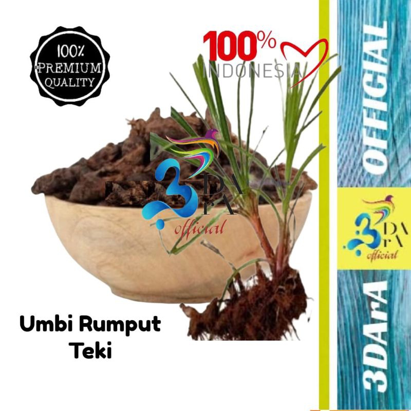 

Rumput Teki Kering - Umbi Teki - Umbi Suket Teki Original Murni Premium