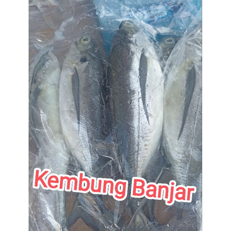 

Ikan Banjar