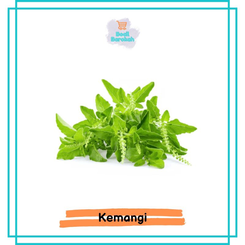 

DAUN KEMANGI 1 IKAT