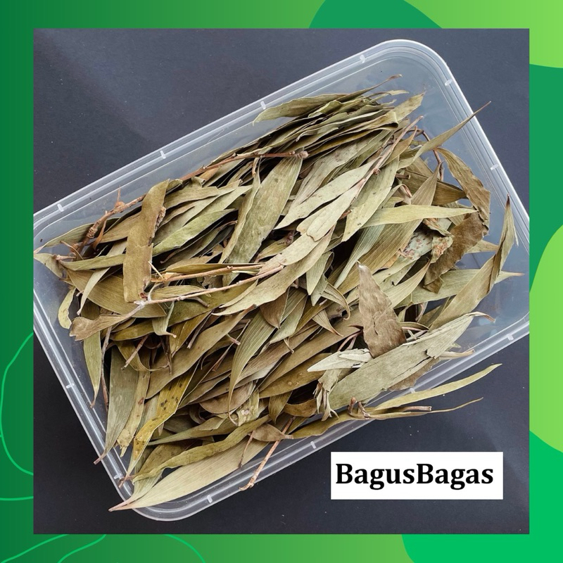 

1kg GROSIR Herbal Daun Kayu Putih Eukaliptus Wangi Cajuput Eucalyptus Dried Leaf Flu Batuk Pilek