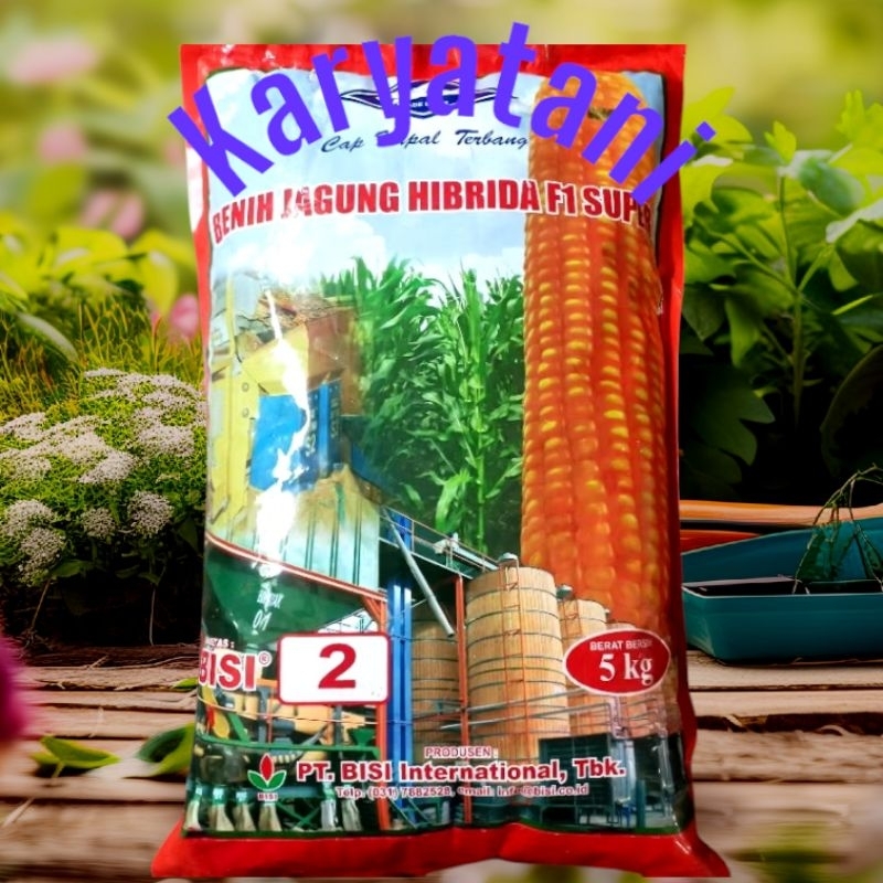 JAGUNG HIBRIDA BISI 2 KEMASAN 5KG