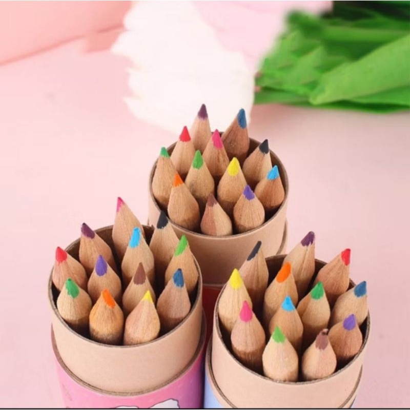 

Pensil Warna 12 IN 1 + Serutan Pensil Color Pencils Quality Pensil Warna Karakter Kemasan Tabung Murah