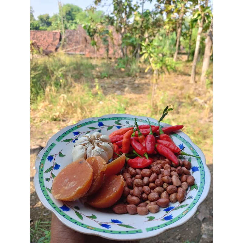 

Sambel pecel Mbah Larti kemasan 100gr