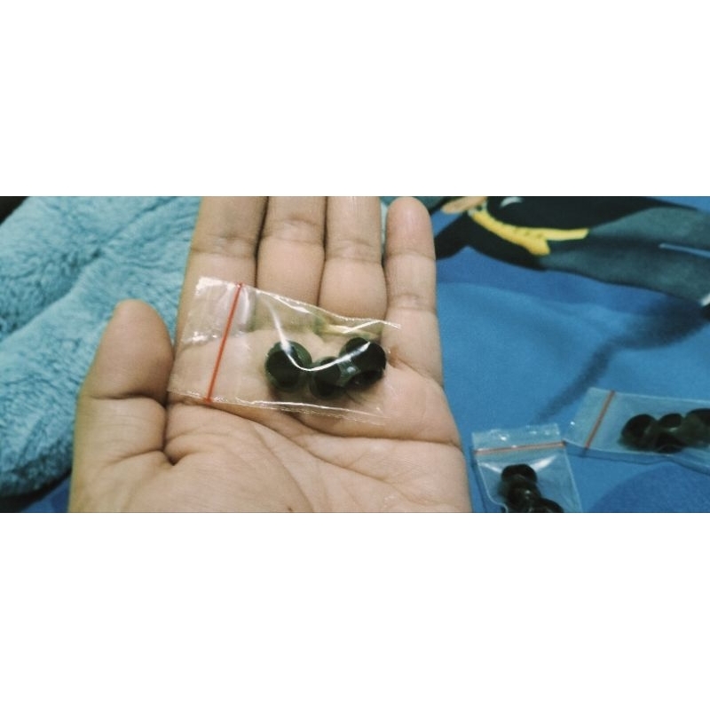 Ma'zun Pria Paten asli alami 1 kali minum