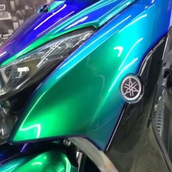 Cat Pu Bunglon Sprite Colour Effect Chameleon Blue Green