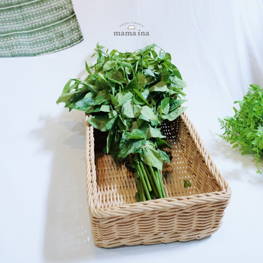 

Daun Katuk