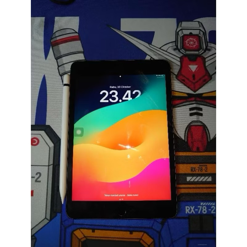 ipad mini 5 wifi only