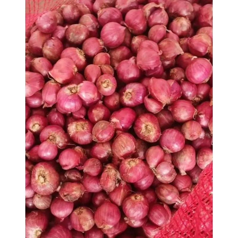 

Bawang Merah Super 1kg