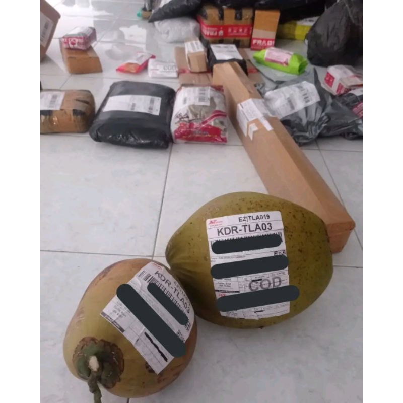 

kelapa