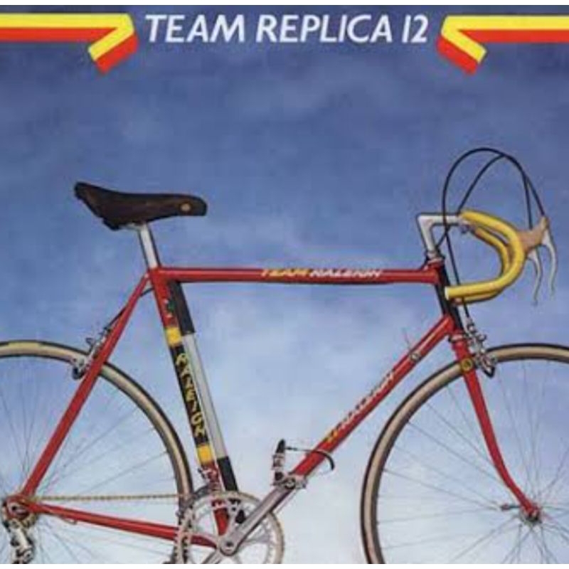 decals replacement Raleigh team professional  team replica ti raleigh