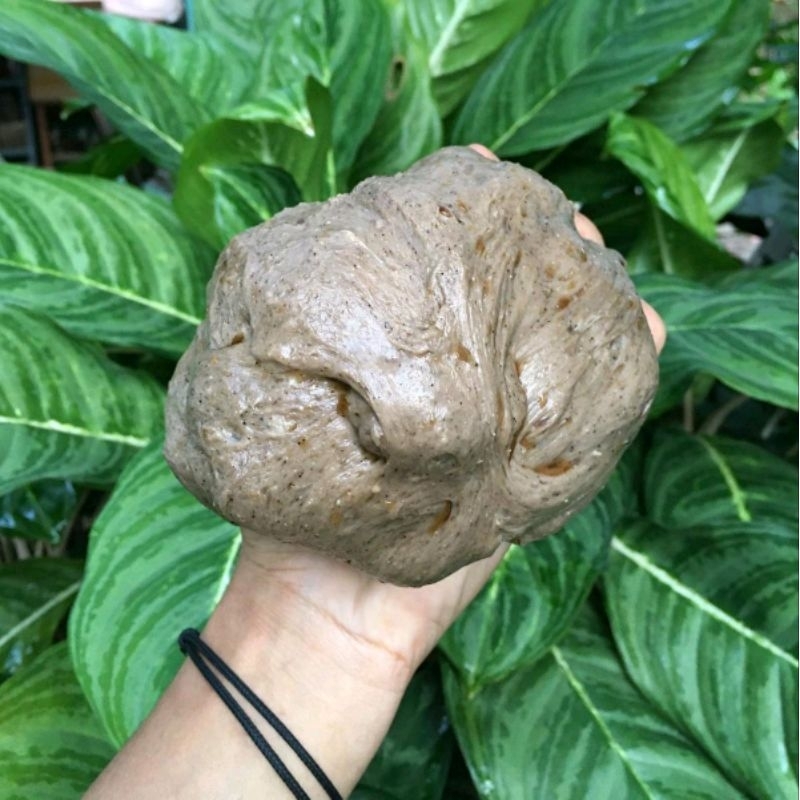 Lem pulut burung super lengket 500gram/setengah kilo, anti zonk, pulut DL ORIGINAL