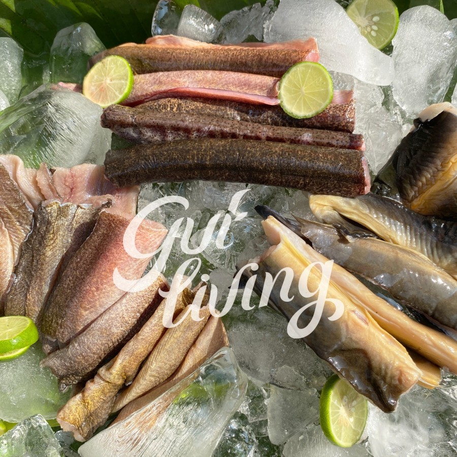 

Belut Unagi Sidat Liar Potong dan Fillet Kaya Gizi Untuk MPASI Bayi Balita Lansia