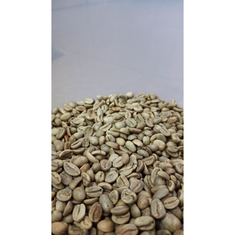 

Green Beans Biji Kopi Gayo Arabica Natural