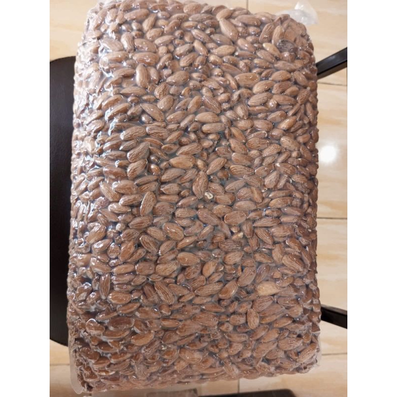 

312rb/kg Kacang Almond Mentah