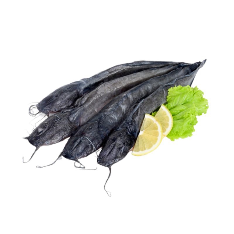 

Ikan Lele Fresh Berat 1kg